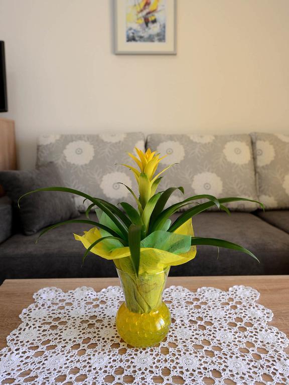 Apartman Adriana Zadar Bagian luar foto