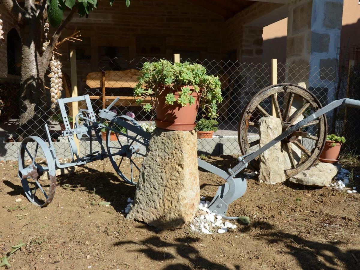Apartman Adriana Zadar Bagian luar foto